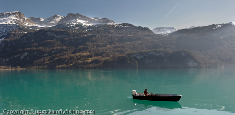Lake fishing in Switzerland for lake trout