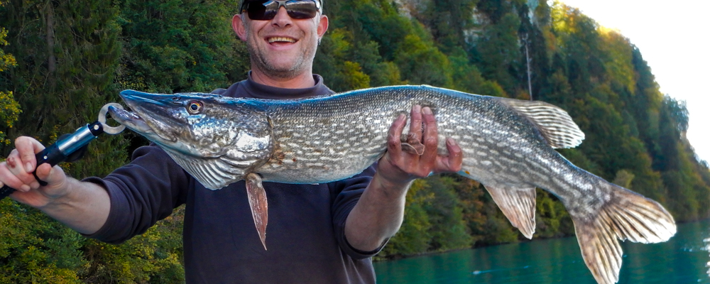 Pike fishing in Switzerland 010